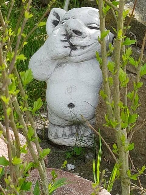 Ein Nasenbohrer hat sich versteckt bei meinem Vorgarten !