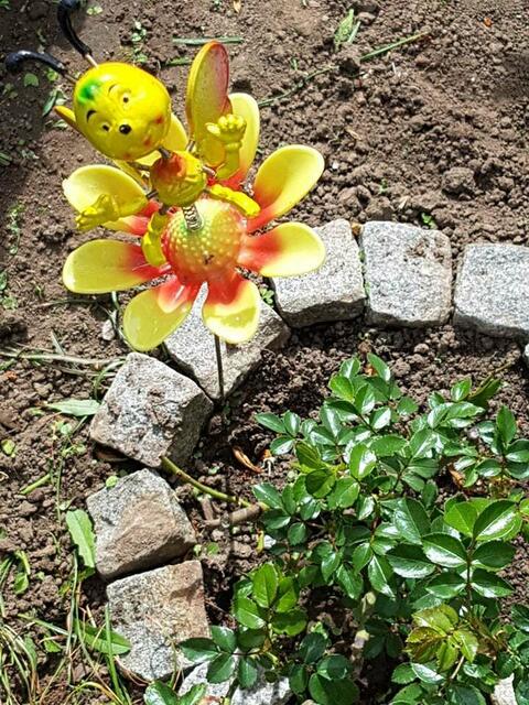 der süße Wurm war ein Geburtstagsgeschenk im letzten Jahr für mich von meinen beiden Nachbarinnen !