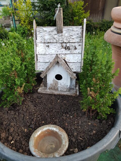 ein Waldhaus ---eigentliche Einrichtung kommt noch !