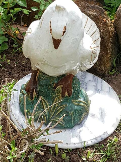 Käseplatte--- mal anders hier serviert !