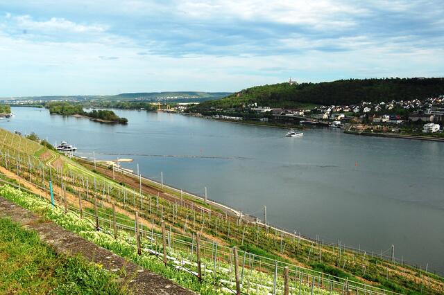 Am Abend setzen wir bei Rüdesheim mit der Fähre über den Rhein nach Bingen hinüber. Von dort beginnt unserer Rückfahrt am linken Rheinufer.