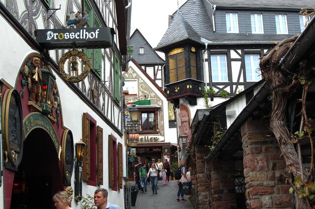 Natürlich schlendern wir zwischen Asiaten und Amerikanern auch durch die weltberühmte Drosselgasse. Doch schnell zieht es uns wieder in die stillen Weinberge hinein.