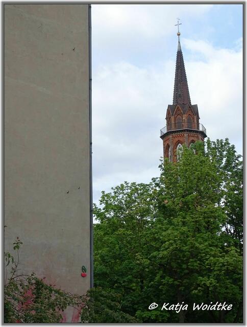 Kirsche Am Lindener Berge in Hannover - Linden-Mitte (Foto: Katja Woidtke)