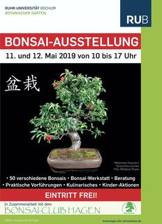 Bonsai-Ausstellung in Bochum ... - Bochum