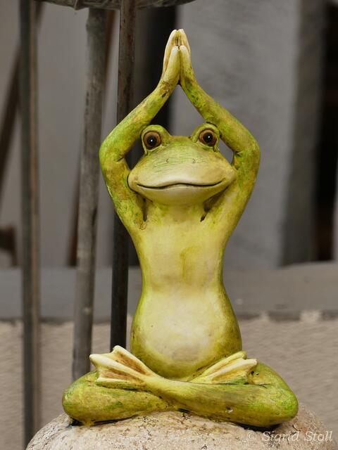 Der Yogafrosch darf nicht fehlen, Namasté, bis zum nächsten Mal.
