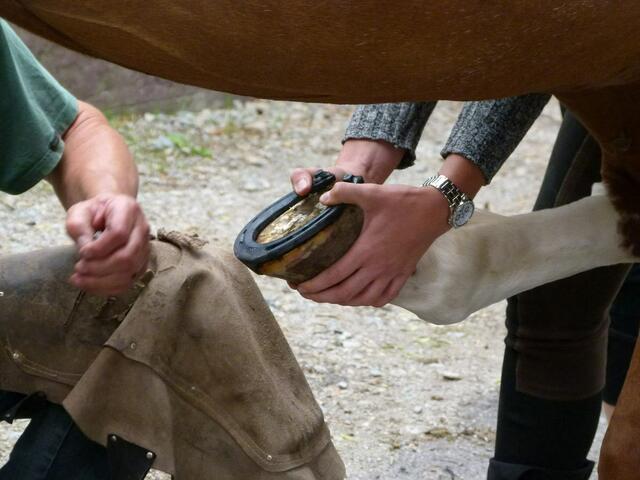 Schuhkleber hält hier nicht, deswegen wird genagelt.