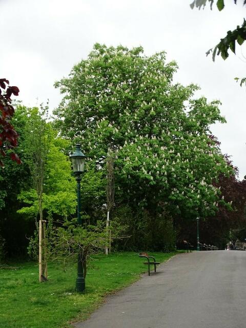 Wiener Kongresspark im Mai