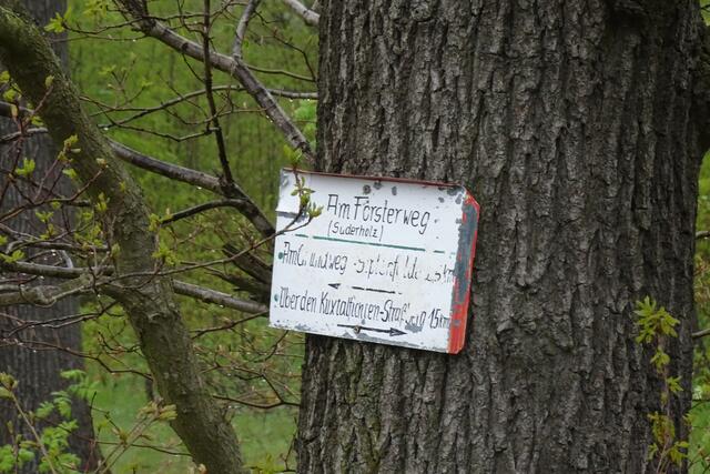 ein neues Schild wäre hier im Suderholz angebracht