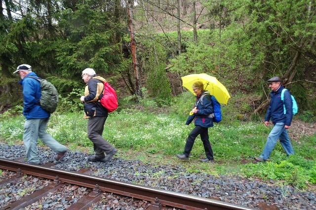 hier überquert der Selketalstieg  die Gleise der Selketalbahn