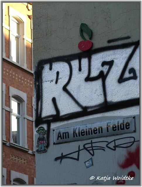 Kirsche Am Kleinen Felde in Hannover - Nordstadt (Foto: Katja Woidtke)