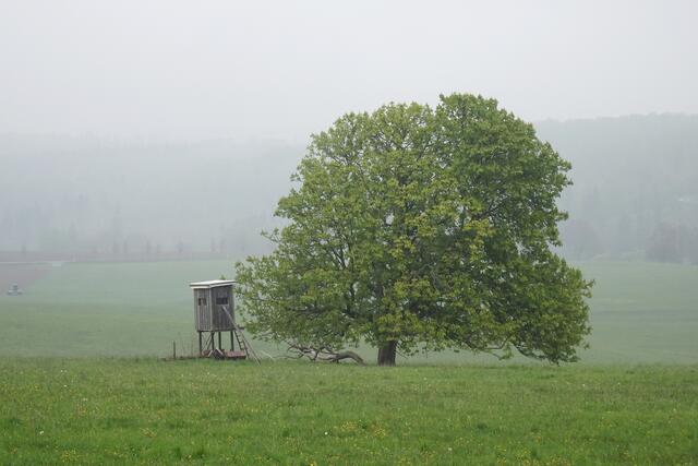 an der Hosenbeinswiese