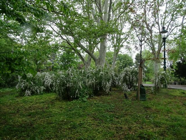 Wiener Kongresspark im Mai