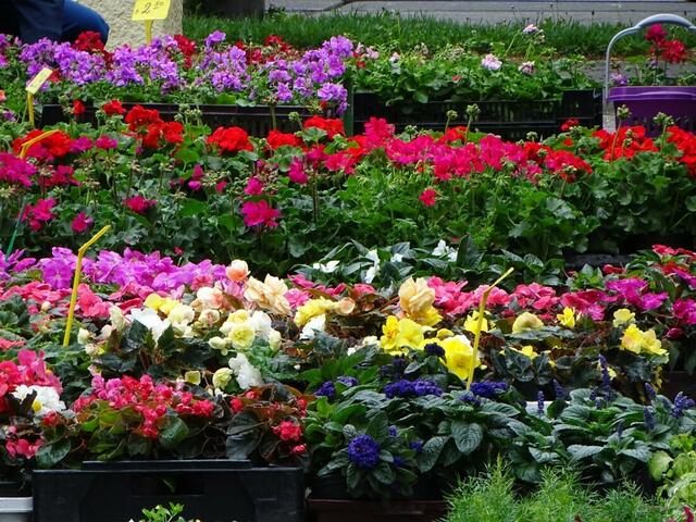 Wiener Kongresspark im Mai