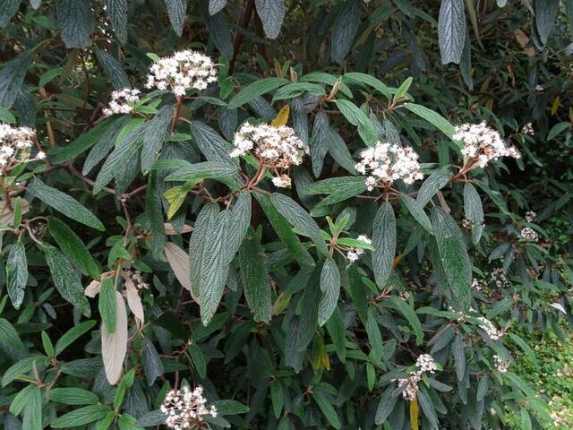 Wiener Kongresspark im Mai