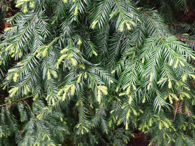 Wiener Kongresspark im Mai