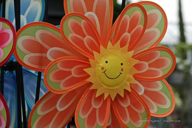 Gute Laune Sonne....