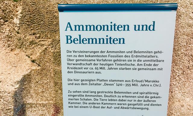 15. Mai 2019. Bremerhaven. II. Zoo am Meer.