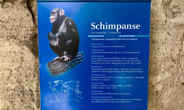 15. Mai 2019. Bremerhaven. I. Zoo am Meer.