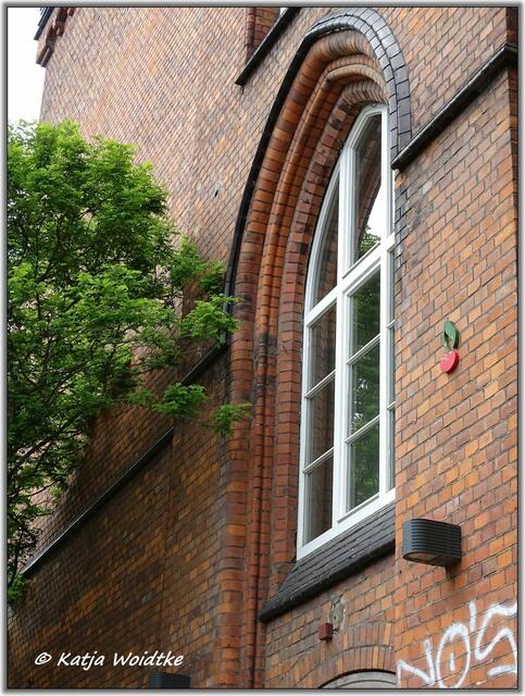 Kirsche in der Schaufelder Straße in Hannover - Nordstadt (Foto: Katja Woidtke)