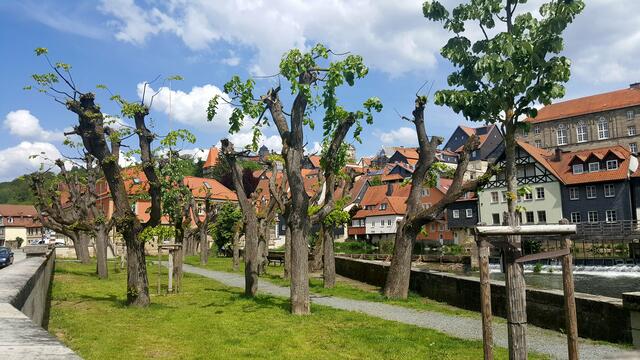 Hässlach-Uferpromenade