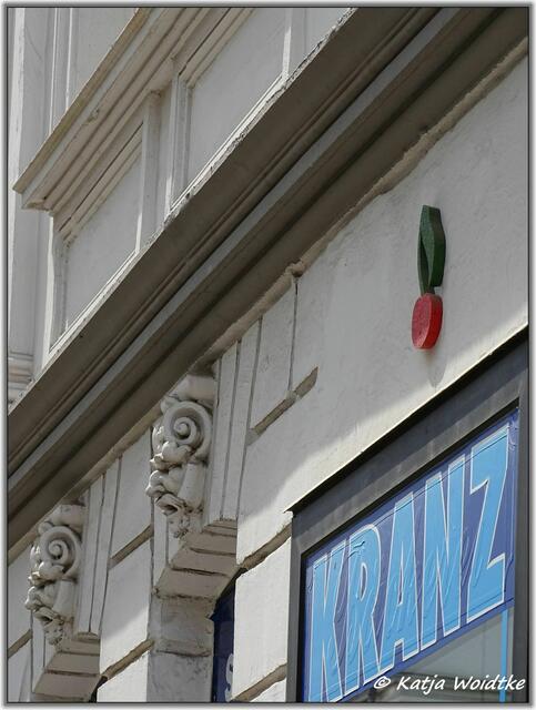 Kirsche an der Lutherkirche in Hannover - Nordstadt (Foto: Katja Woidtke)