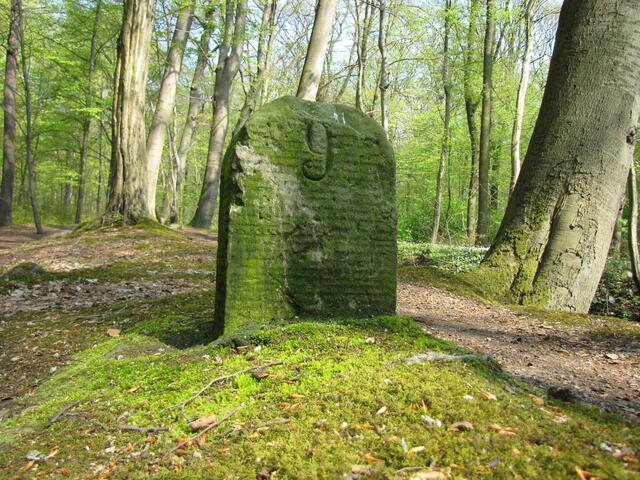Mehrere dieser Steine findet man dort an den einstigen Wällen. Markierten sie einmal die Grenze zum Großen Freien?