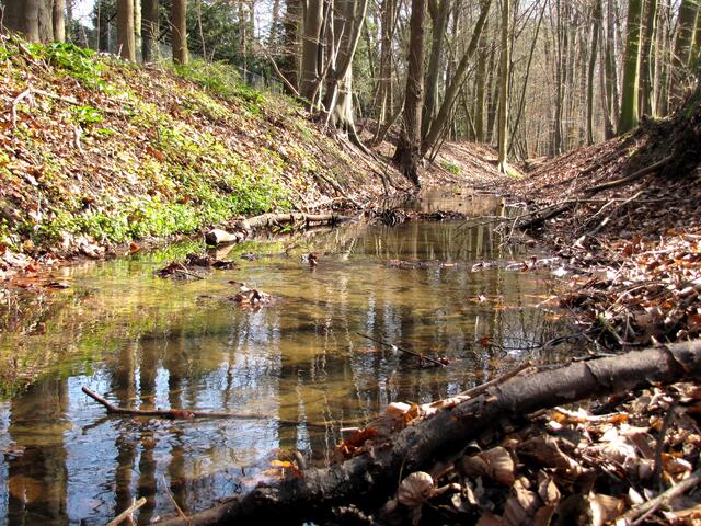 Vom Kirchröder Turm führt der Wolfsgraben als einstiger Teilabschnitt der Landwehr nach Kleefeld.