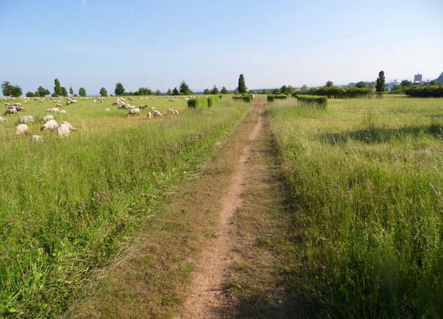 Wer die Landwehr hinter sich gelassen hatte, kam durch ein Gebiet mit Feldern und Weiden, das später auch von den Köthnern bewohnt wurde.