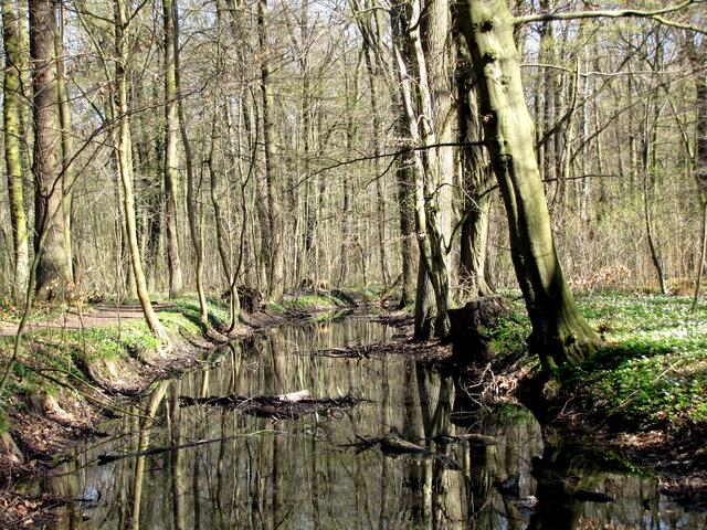 Von Bischofshol führt der Landwehrgraben weiter nach Kirchrode.