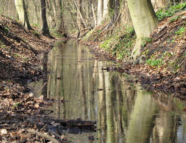 Wer sich Reste der Landwehr ansehen möchte, der kann an den jeweiligen Gräben in der Eilenriede entlangspazieren oder den Türmen mit ihren Kaffees oder Biergärten einen Besuch abstatten. Es ist ein interessantes Kapitel der Stadtgeschichte Hannovers.