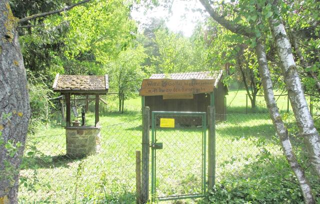Hier sind Bienen...  An der Tür steht ein Schild mit der Aufschrift: "Willst Du Gottes Wunder sehn mußt Du zu den Bienen gehn". Am Bienenhaus lesen wir: "Willst Du Dich an Bienen wagen muß Dein Herz in Reinheit schlagen Denn es ist der Biene Pflicht, daß sie jeden Sünder sticht."