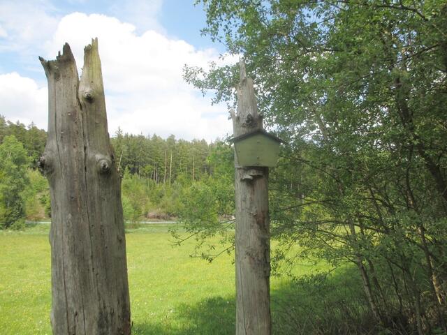 "Einst stand hier ein Wald bis ihn Orkan Kyrill am 18.01.2007 um geknallt."