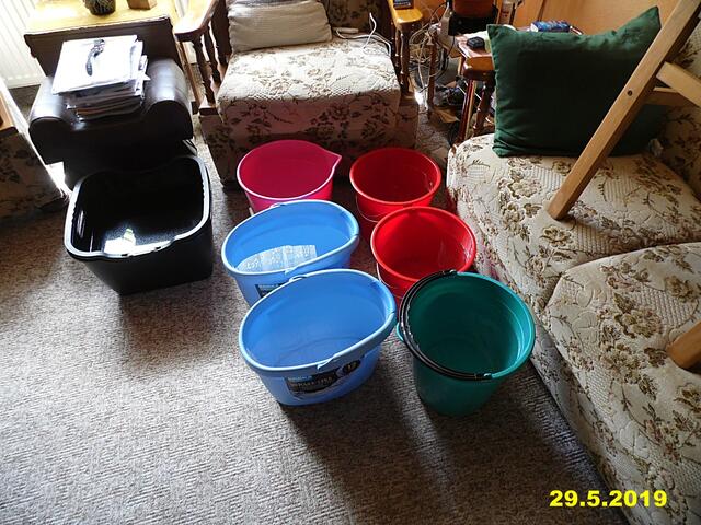 Ich bin Aquarianer - drei Stunden Arbeit die ich aber gerne mache - Wasserwechsel am 29.5.2019 !