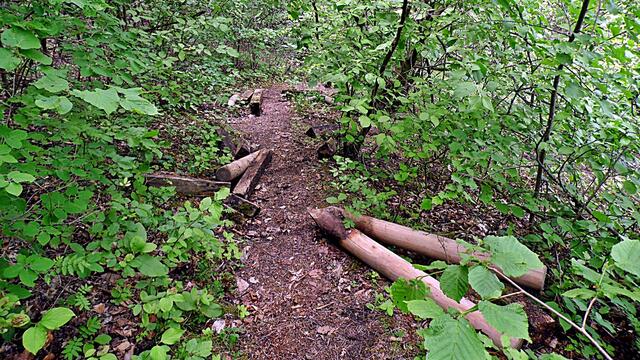 Das traurige Ende des Orchideen Lehrpfades in Krawinkel - Ende Mai 2019 !