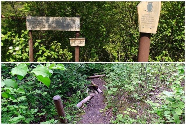 Das traurige Ende des Orchideen Lehrpfades in Krawinkel - Ende Mai 2019 !