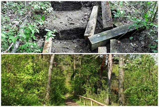Das traurige Ende des Orchideen Lehrpfades in Krawinkel - Ende Mai 2019 !