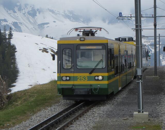 Ein Triebwagen der Wengernalpbahn mit Zahnradtechnik