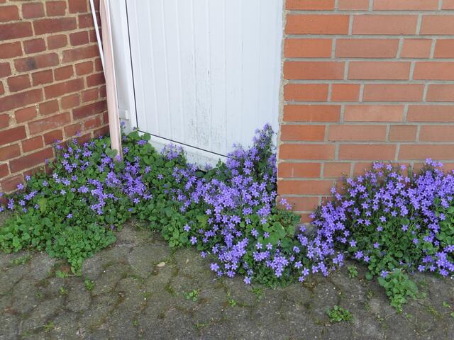Farbe am Wege