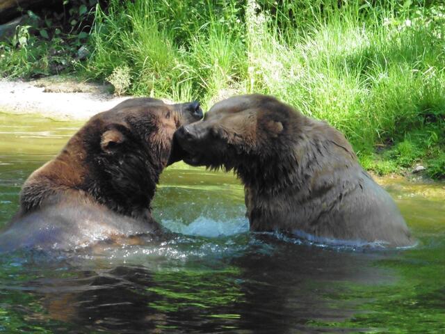 ....die Beiden sich lieb haben!
