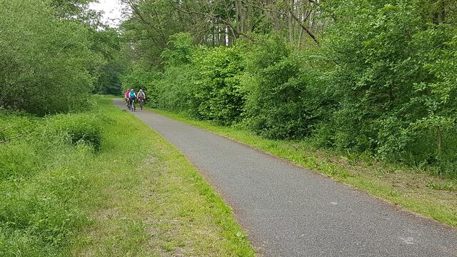 Sie kommen - immer näher ...