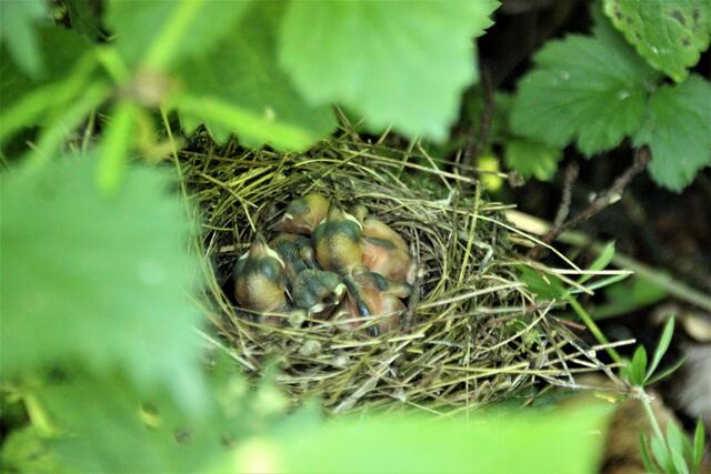 5.6. Alle schlafen