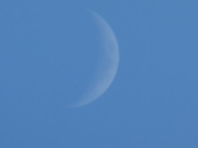 Der Mond nimmt wieder zu !