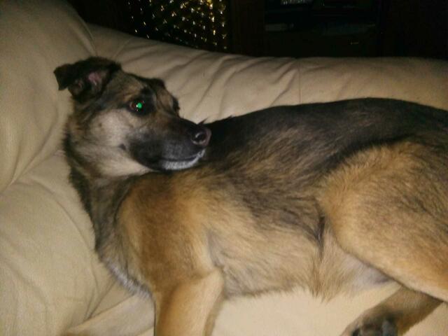 Wann kommt er denn nun ??