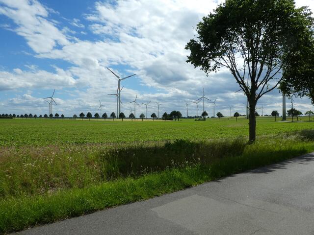 Windräder die wohl größte Verschandlung der Umwelt seit dem 30jährigem Krieg in Mecklenburg-Vorpommern.