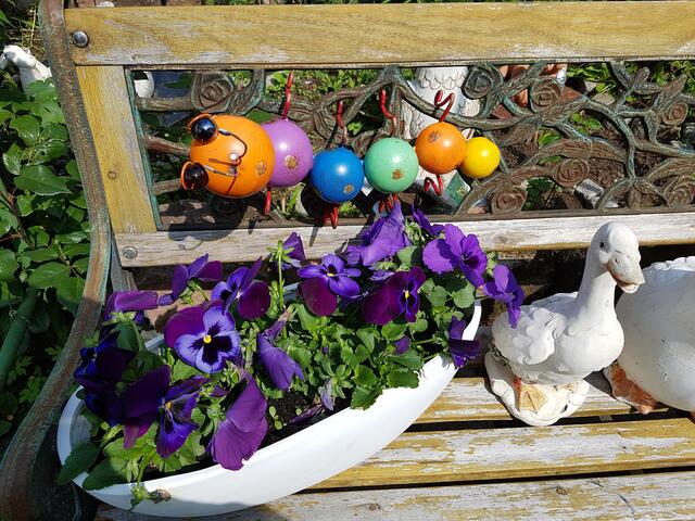 Gartenbank geschenkt bekommen und die Gänse gefunden beim Sperrmüll ! Die Raupe gekauft---die Schale selbst befüllt !
