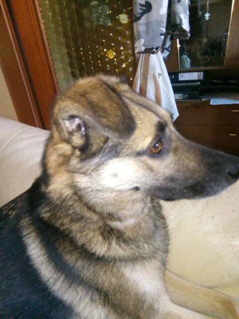 ein Blick, der mir gefällt !