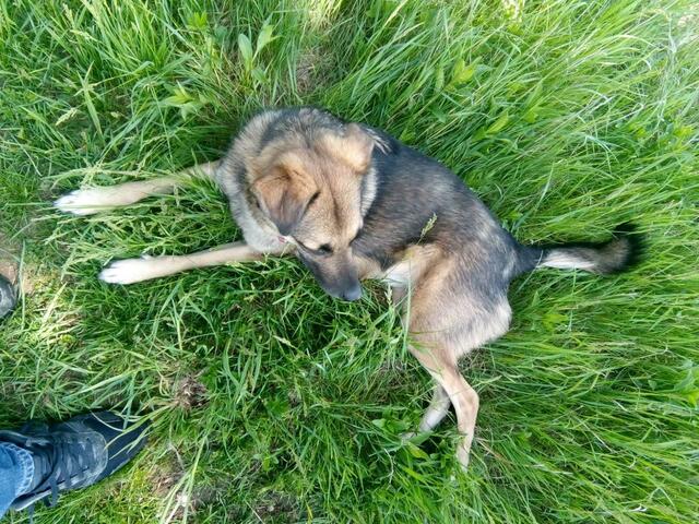 immer dreht er seinen Kopf weg um woanders hin zu schauen !