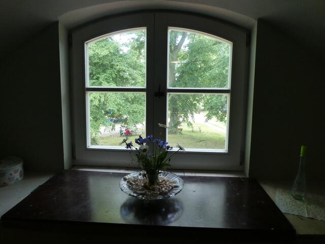 Fenster....Blicke