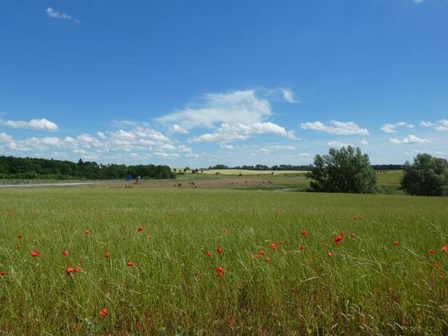 Der Himmel so weit