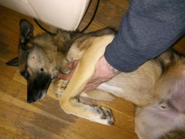 läßt alles gern geschehen --